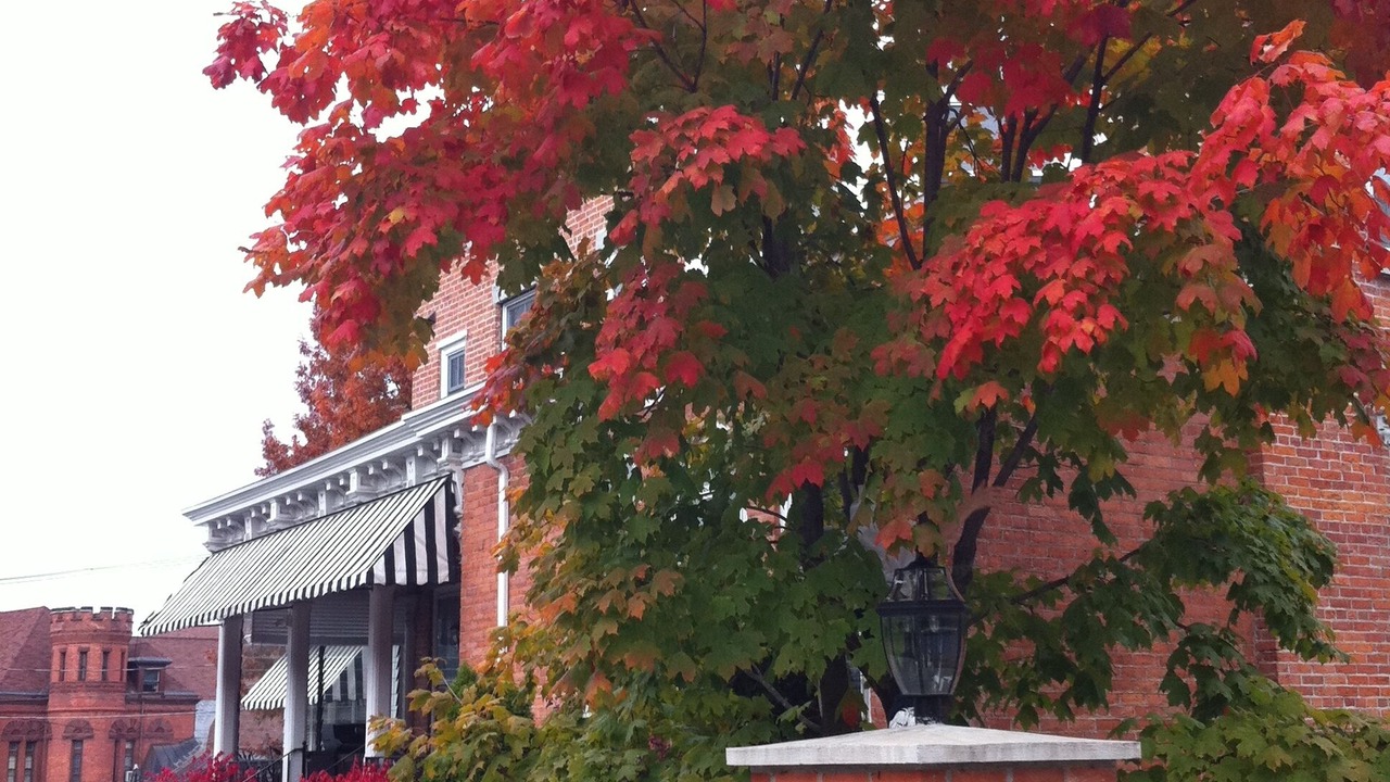 Photo of Others in Saratoga Springs