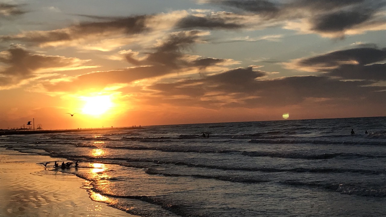Photo of Others in Galveston