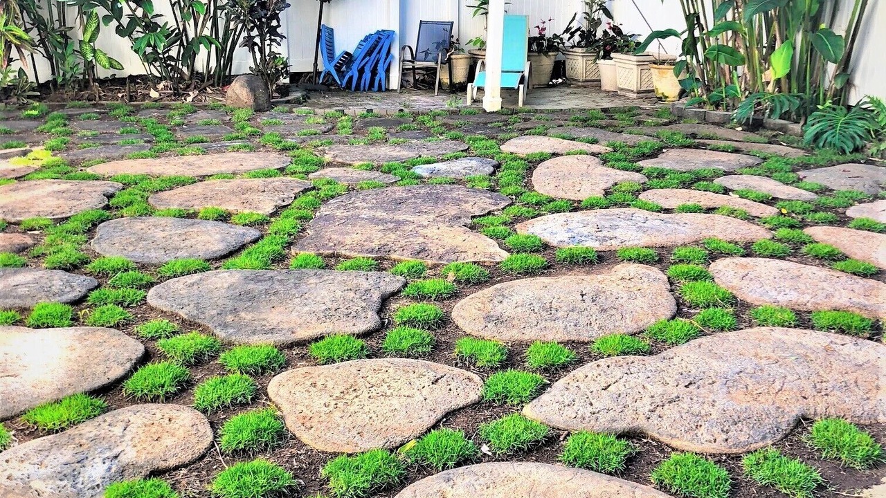Photo of Outdoor in Wainiha