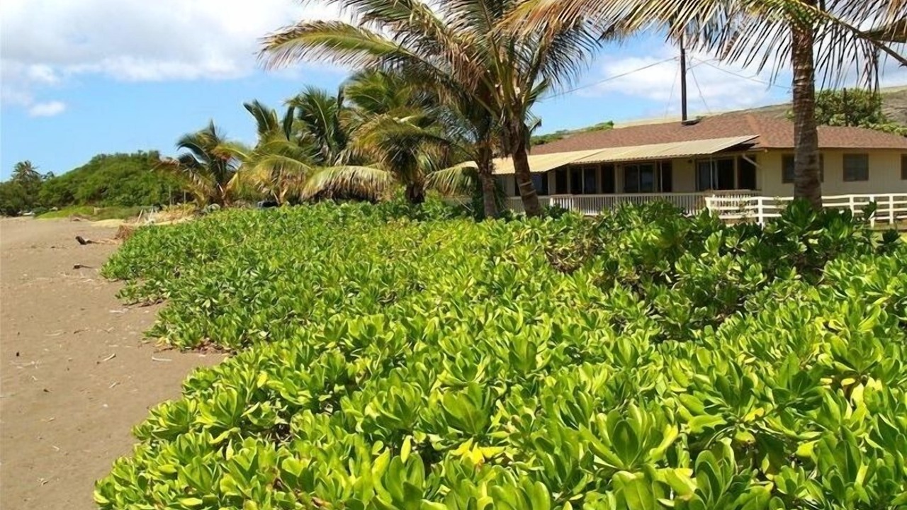 Photo of Others in Waimea