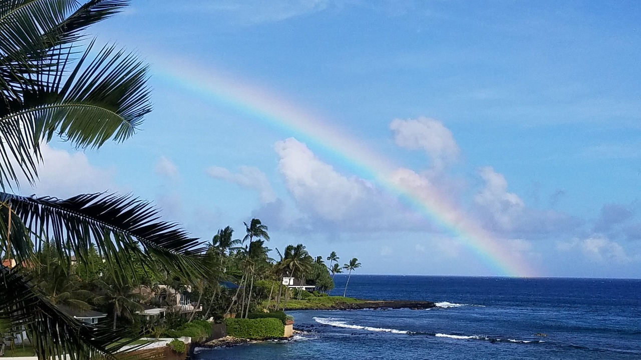 Photo of Others in Poipu