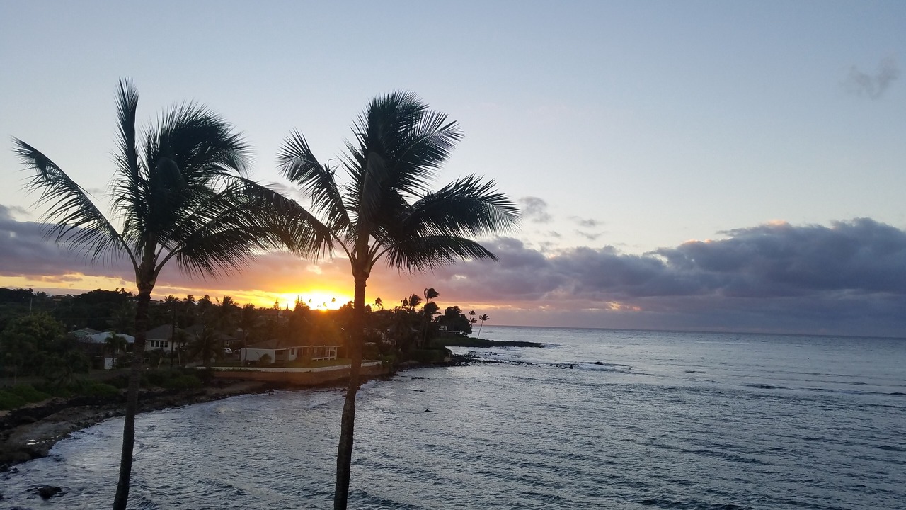 Photo of Others in Poipu