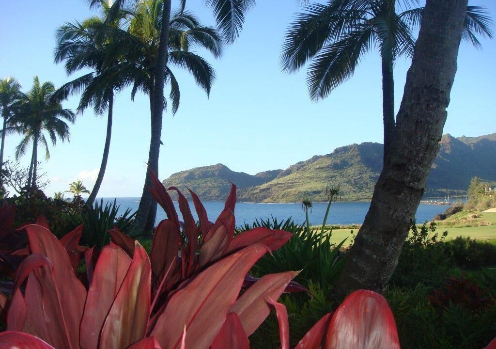 Photo of Outdoor in Lihue