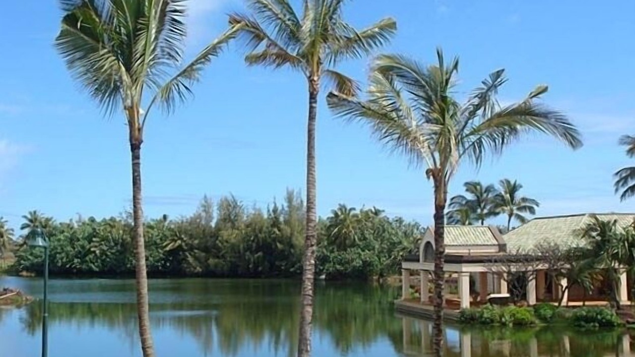 Photo of Others in Lihue