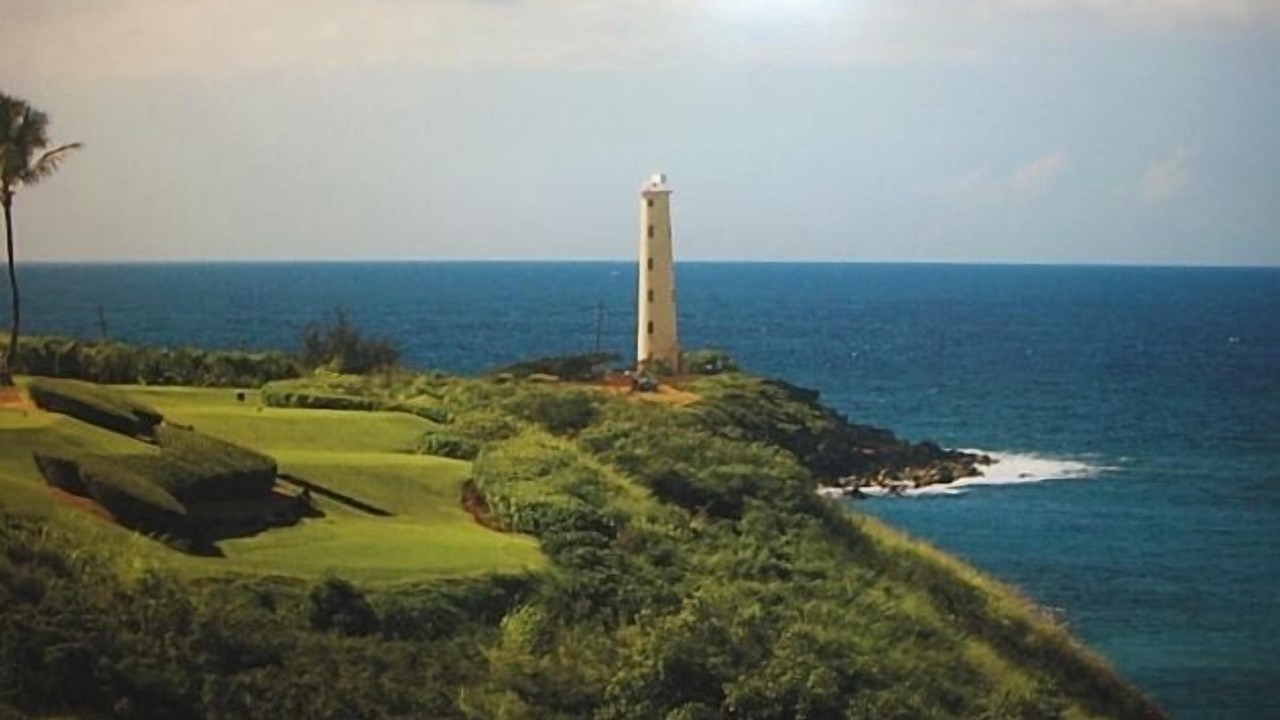 Photo of Others in Lihue