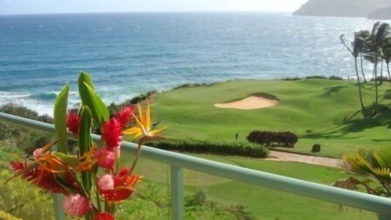 Photo of Others in Lihue