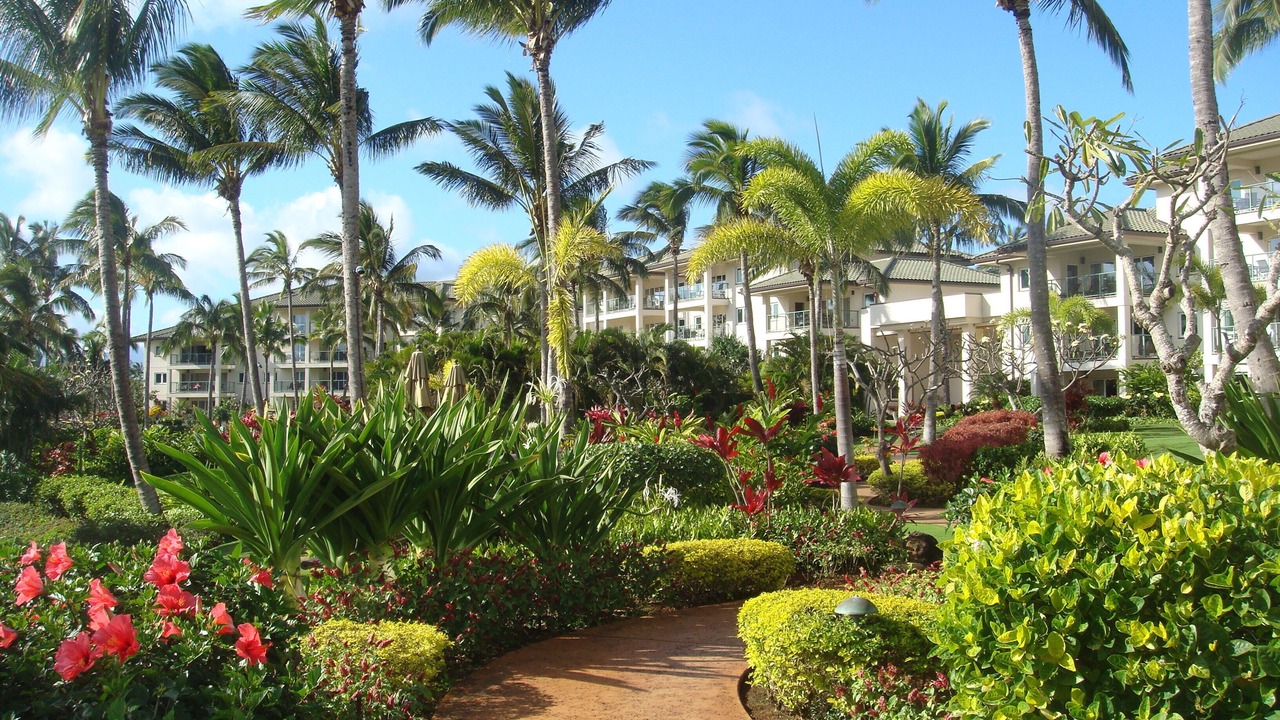 Photo of Outdoor in Lihue