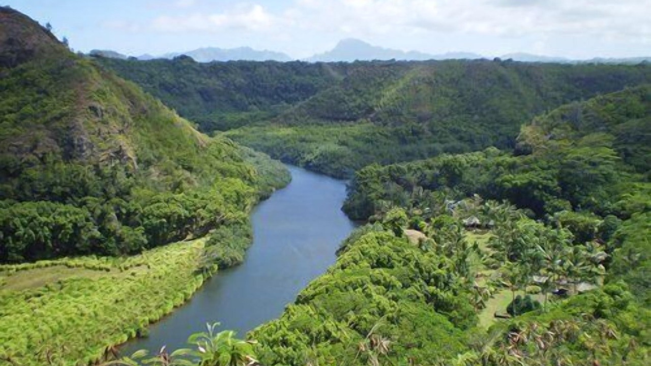 Photo of Others in Lihue