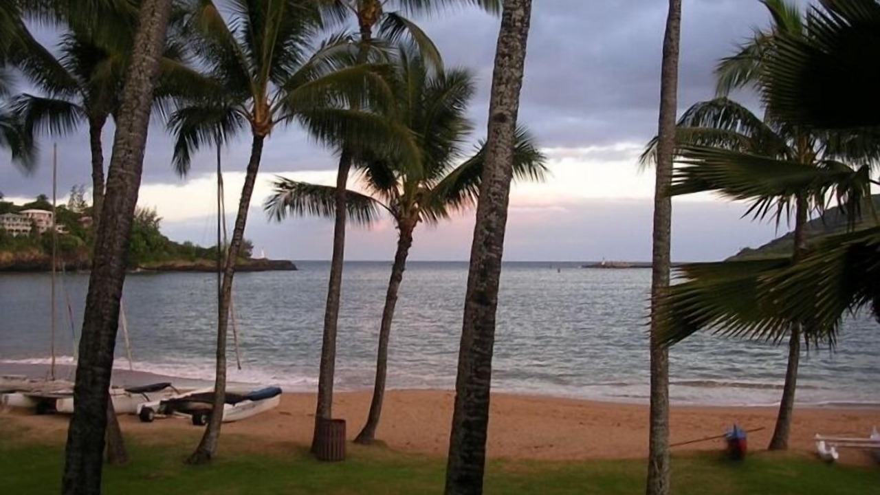 Photo of Others in Lihue