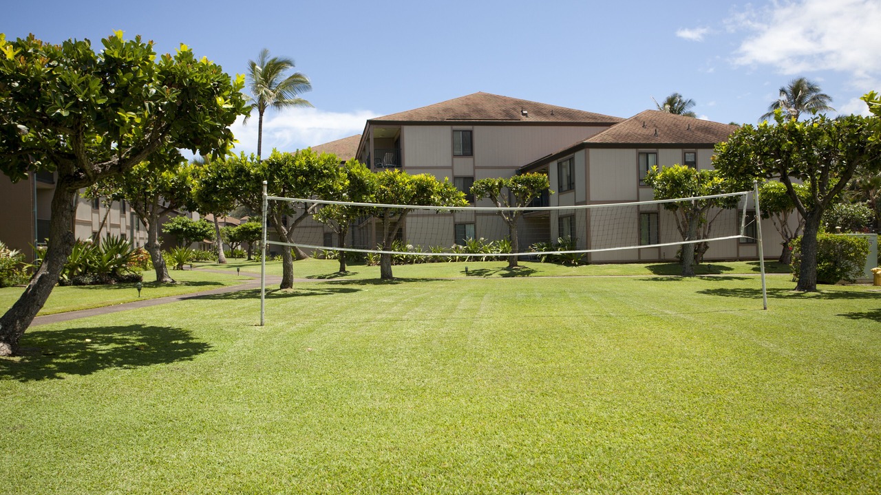 Photo of Others in Kapaa