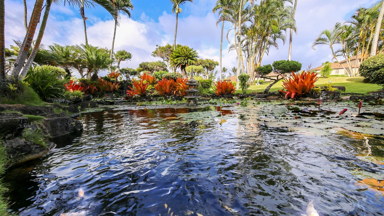 Photo of Outdoor in Kapaa