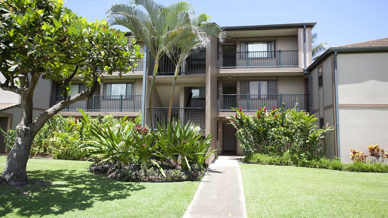 Photo of Outdoor in Kapaa