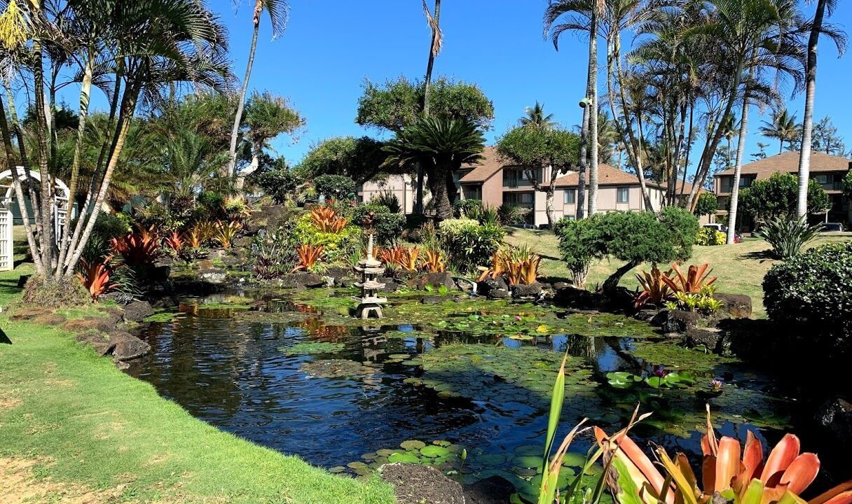 Photo of Outdoor in Kapaa