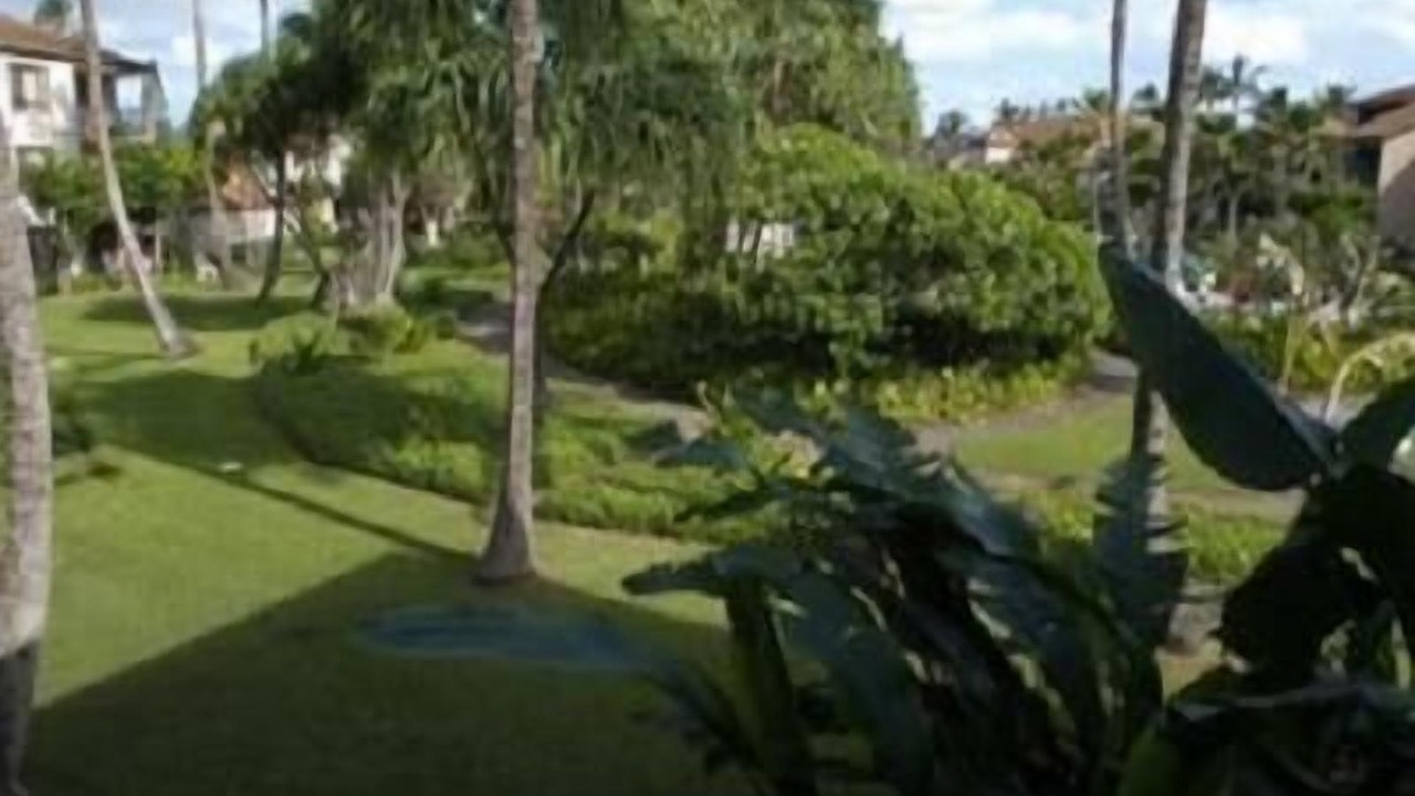 Photo of Others in Kapaa
