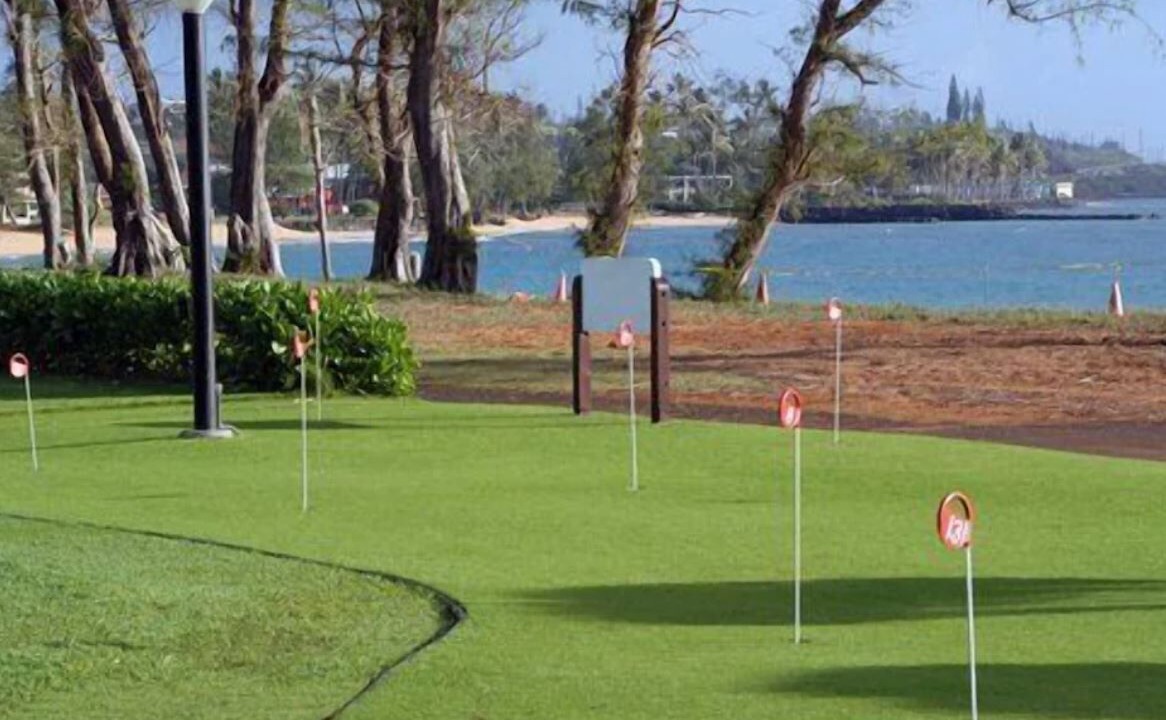 Photo of Others in Kapaa