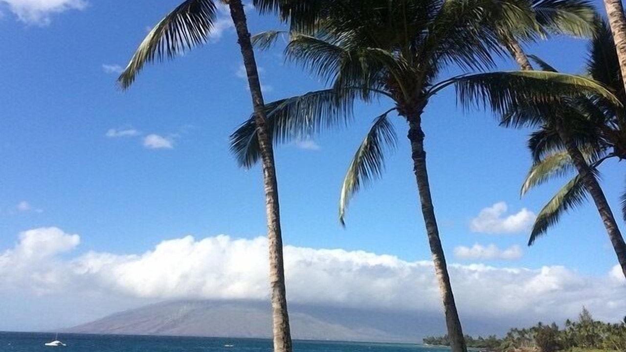Photo of Others in Kihei