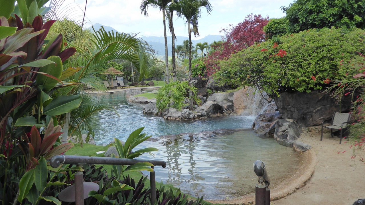 Photo of Others in Princeville