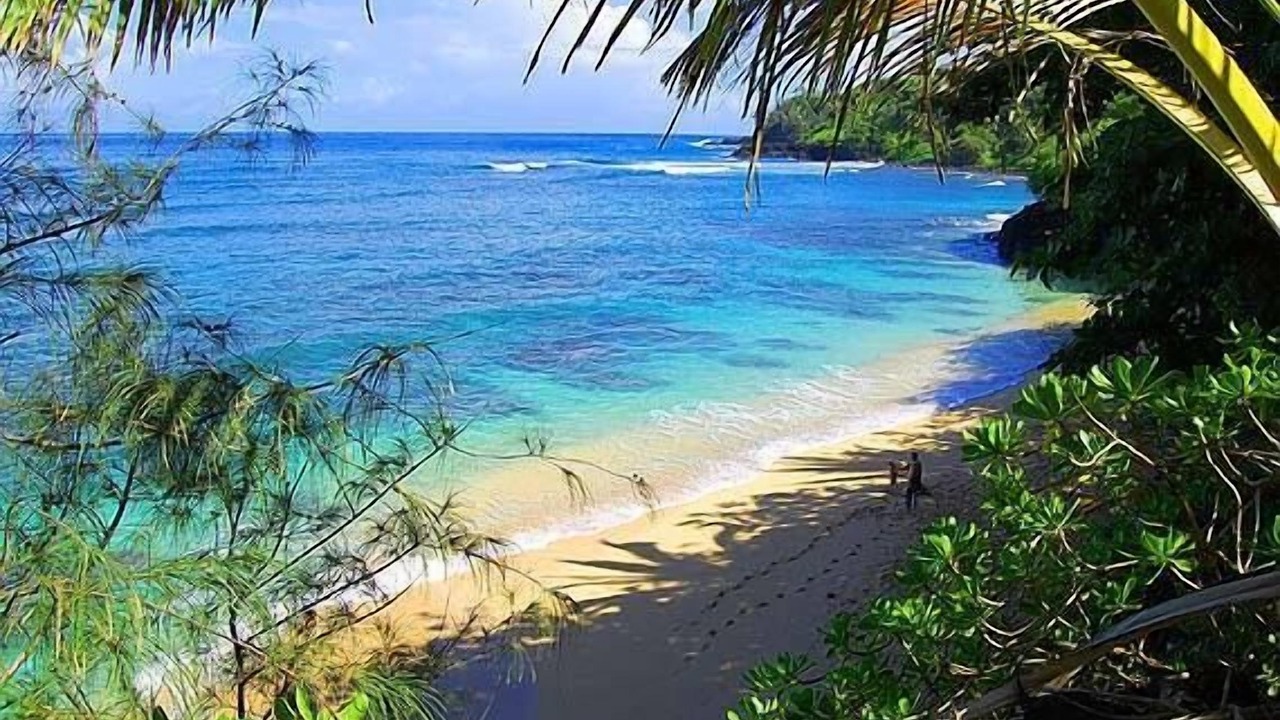 Photo of Others in Princeville