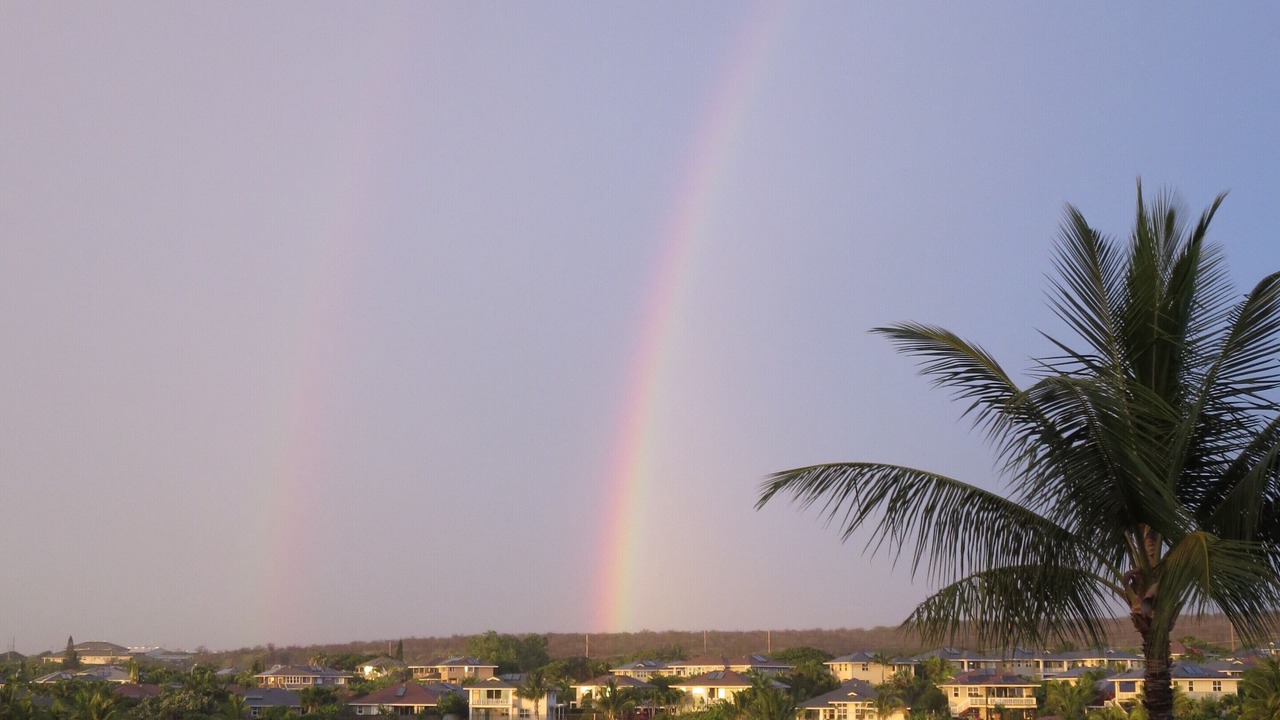 Photo of Others in Kihei
