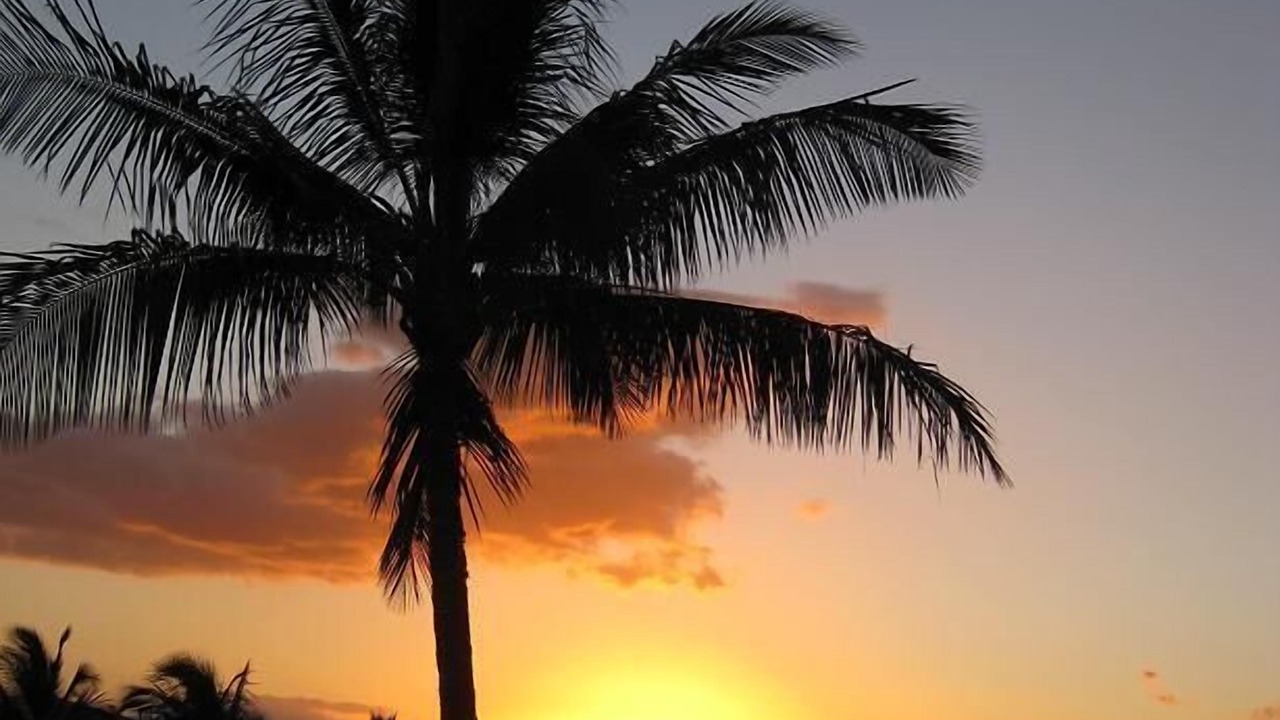 Photo of Others in Kihei