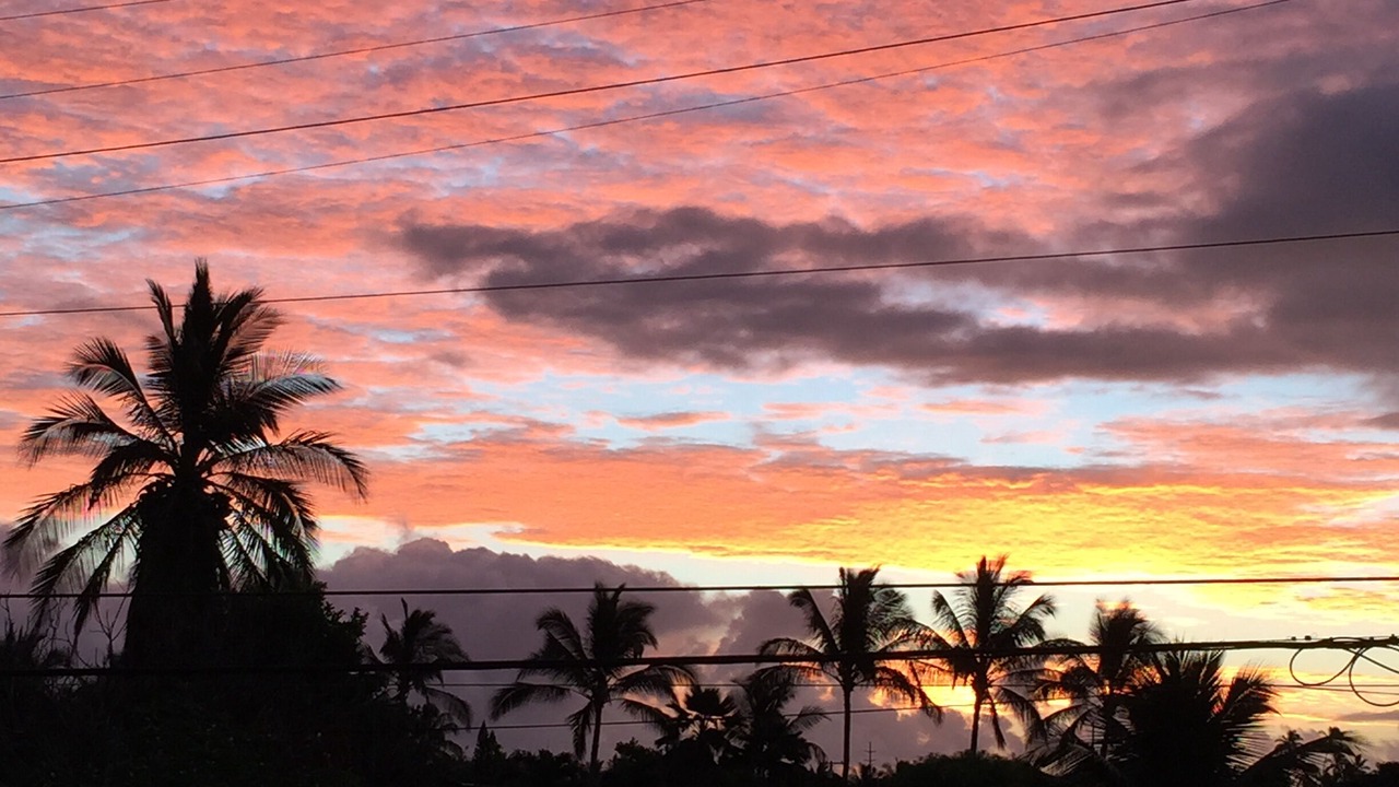 Photo of Others in Kekaha
