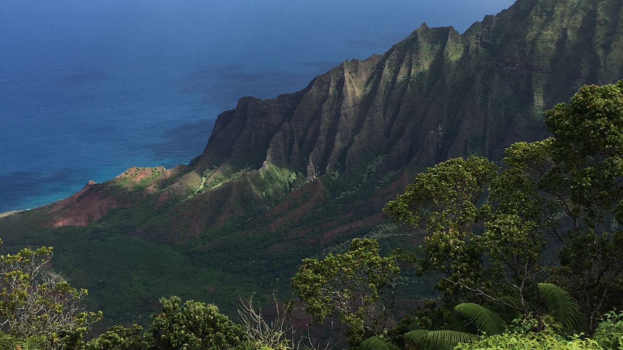 Photo of Others in Kekaha