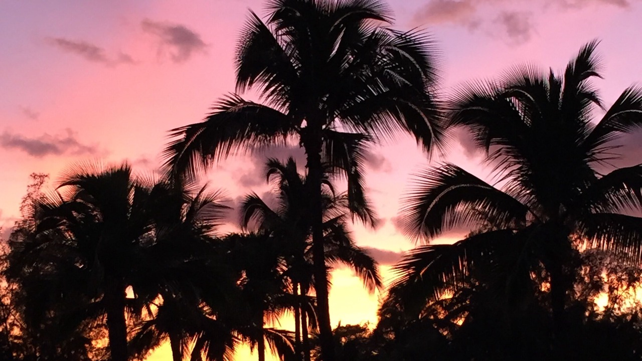 Photo of Others in Kekaha