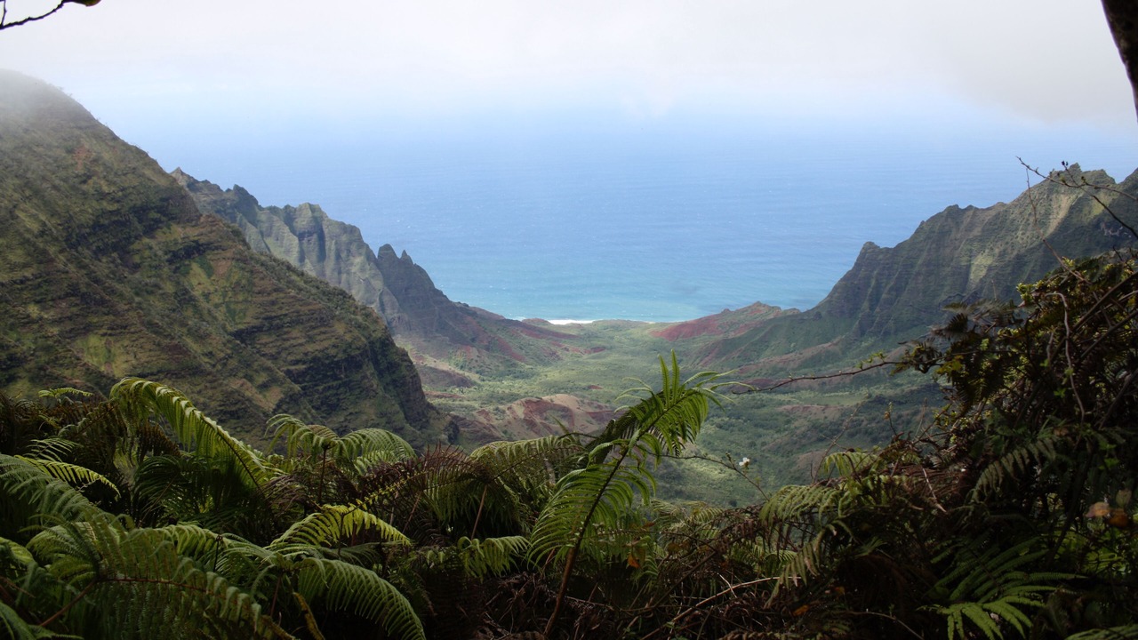 Photo of Others in Kekaha