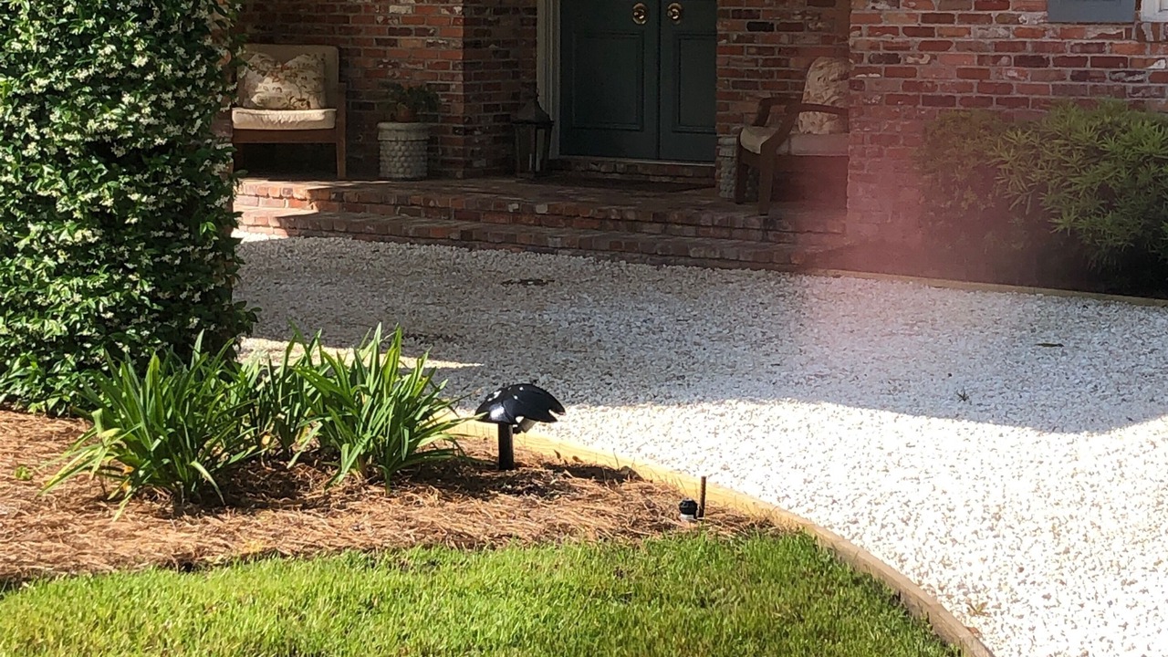 Photo of Others in Sea Island