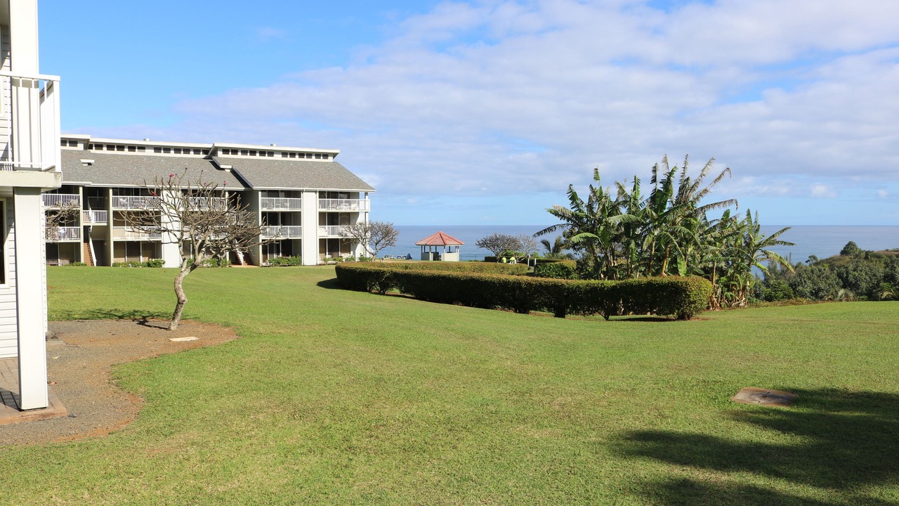Photo of Outdoor in Princeville