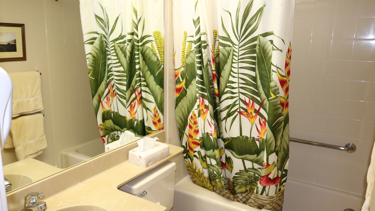 Photo of Bathroom in Princeville