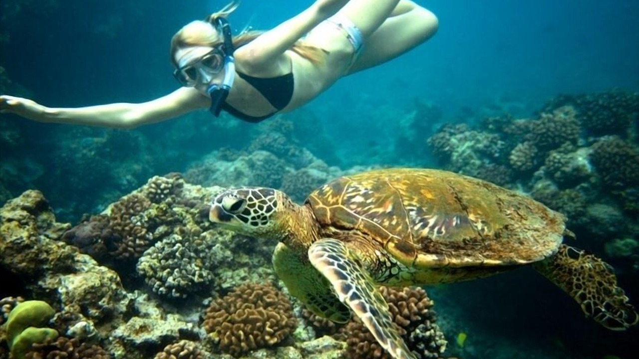 Photo of Others in Kahaluu Bay