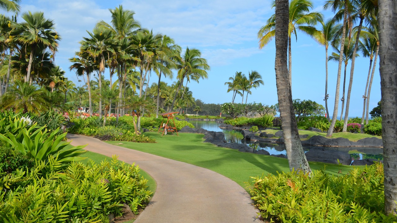 Photo of Outdoor in Hanamaulu