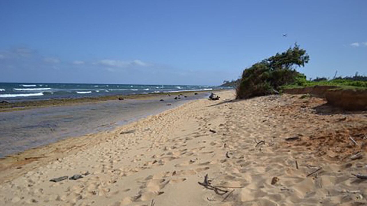 Photo of Others in Hanamaulu