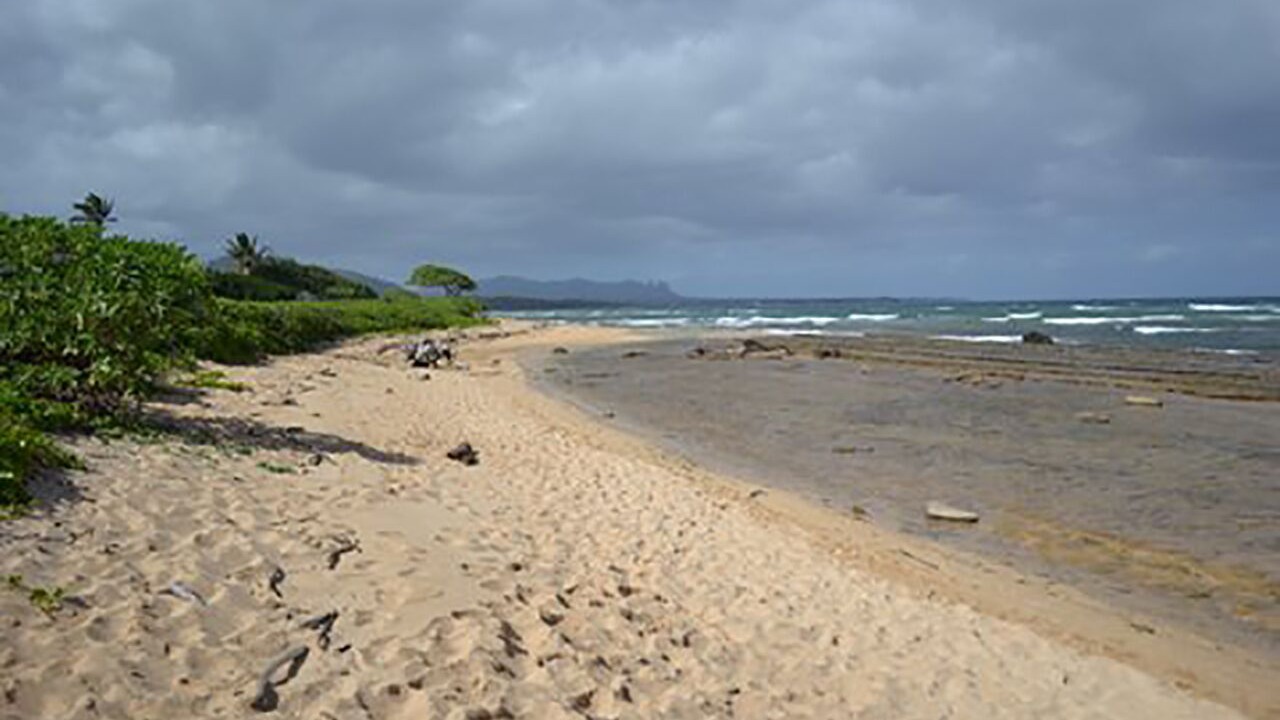 Photo of Others in Hanamaulu