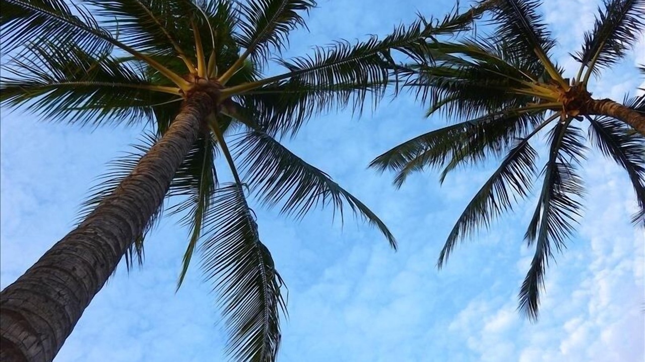 Photo of Others in Kekaha