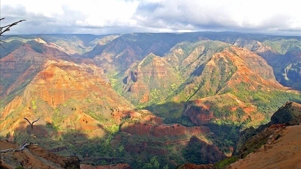Photo of Others in Kekaha