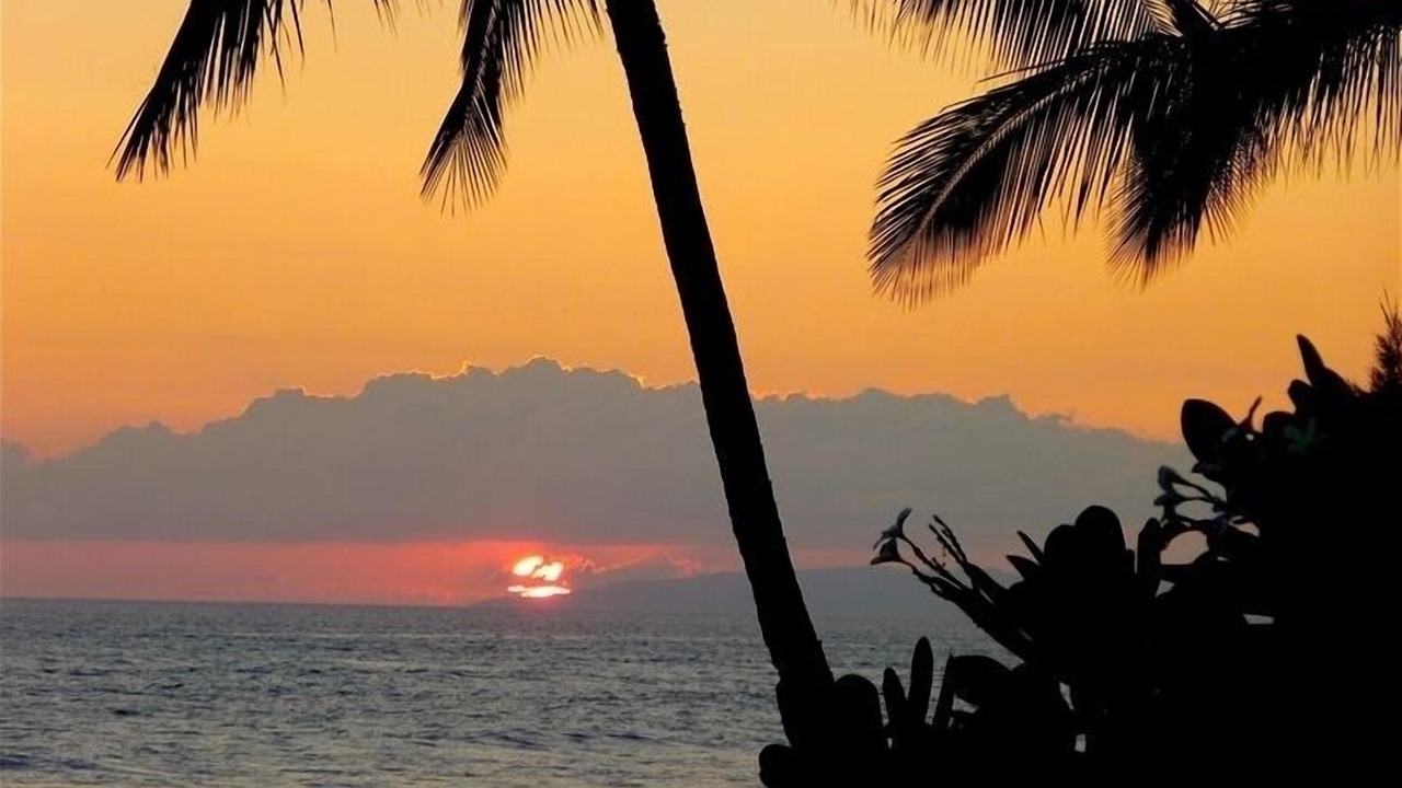 Photo of Others in Kekaha