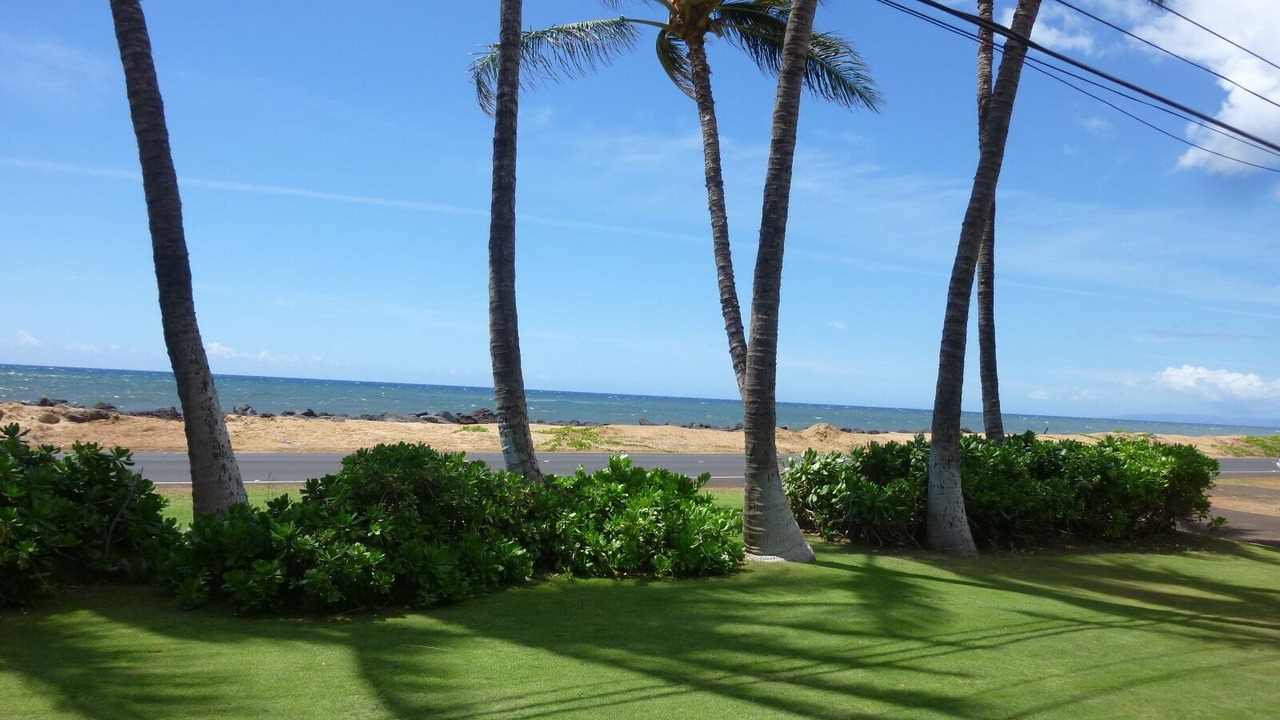 Photo of Others in Kekaha