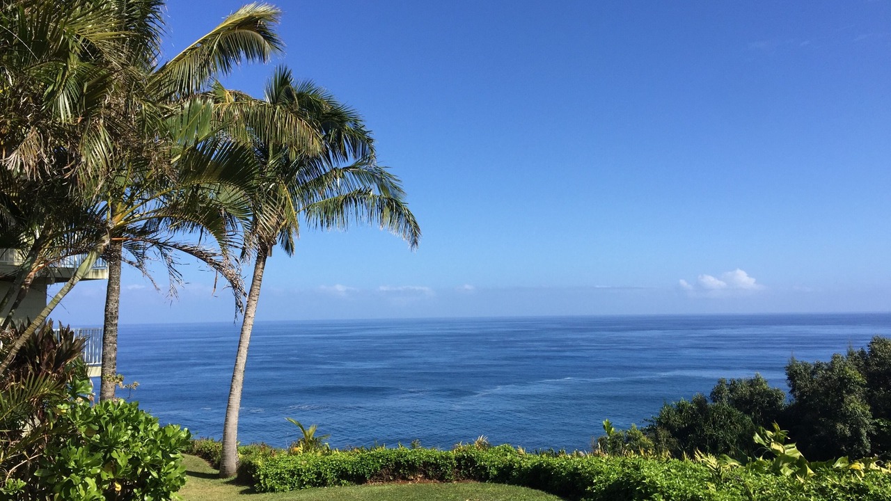 Photo of Others in Princeville