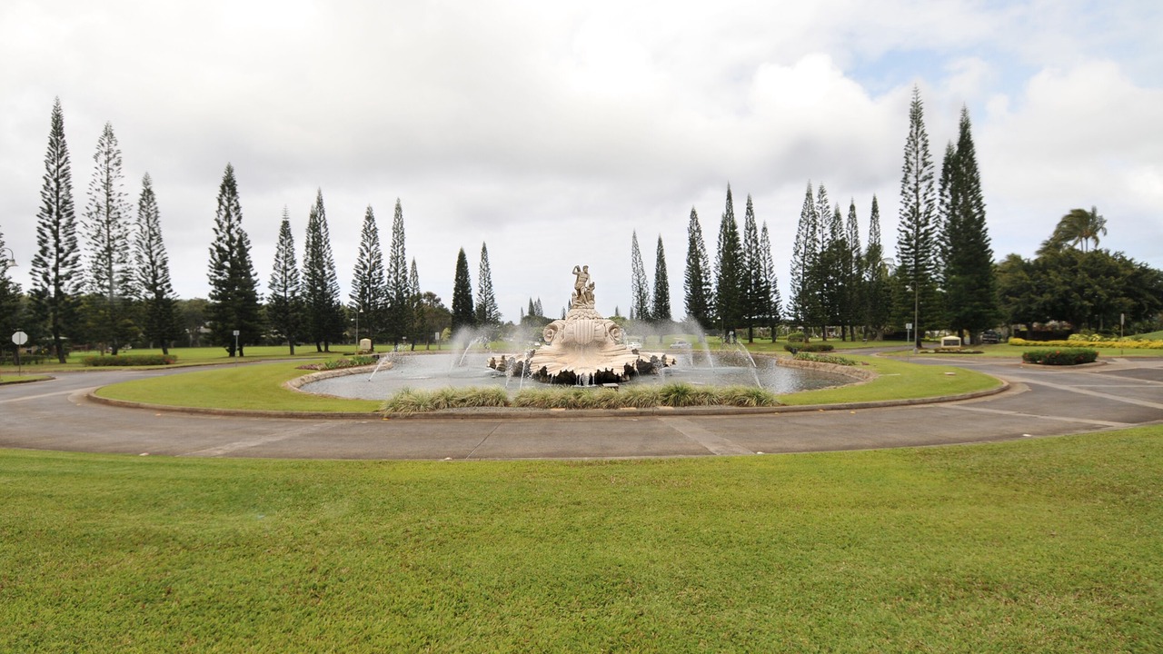 Photo of Outdoor in Princeville