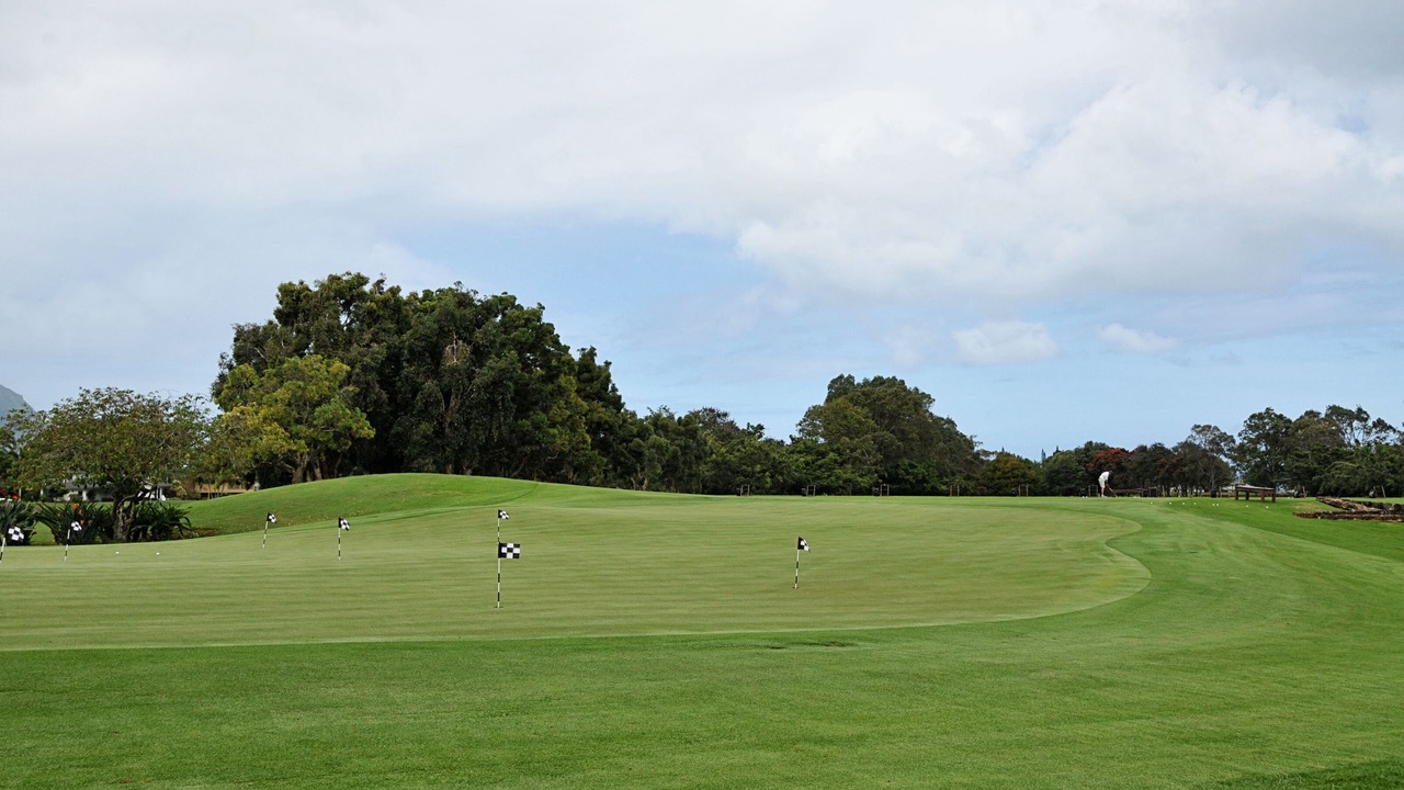 Photo of Others in Princeville
