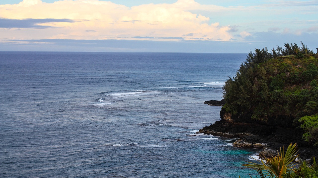Photo of Others in Princeville
