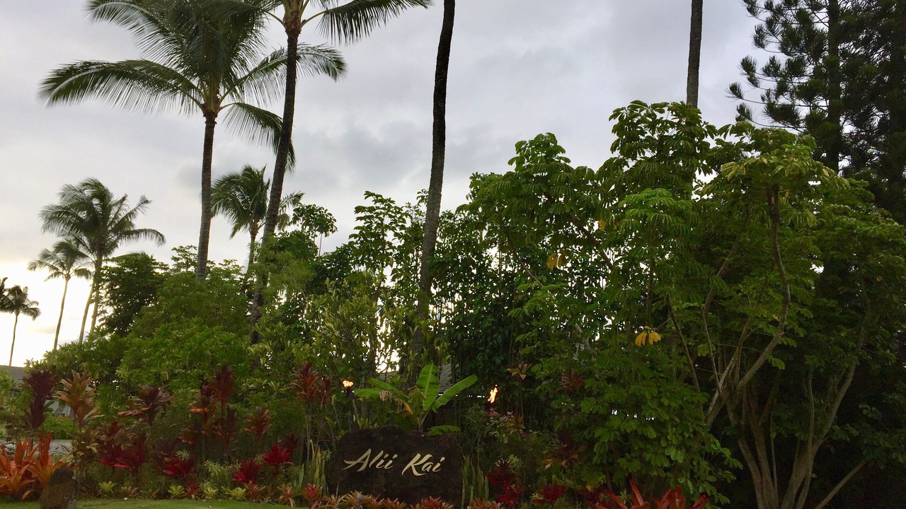 Photo of Others in Princeville