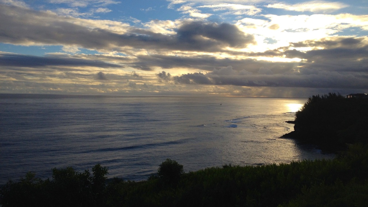 Photo of Others in Princeville