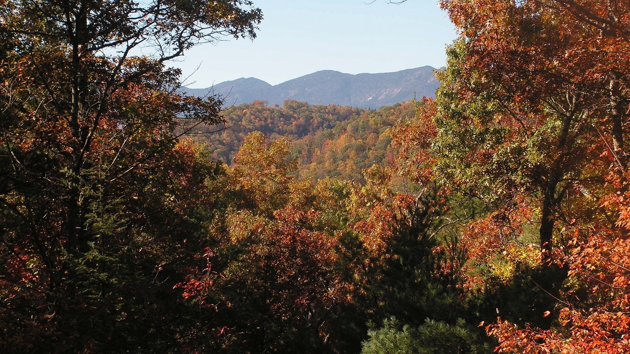 Photo of Others in Spruce Pine