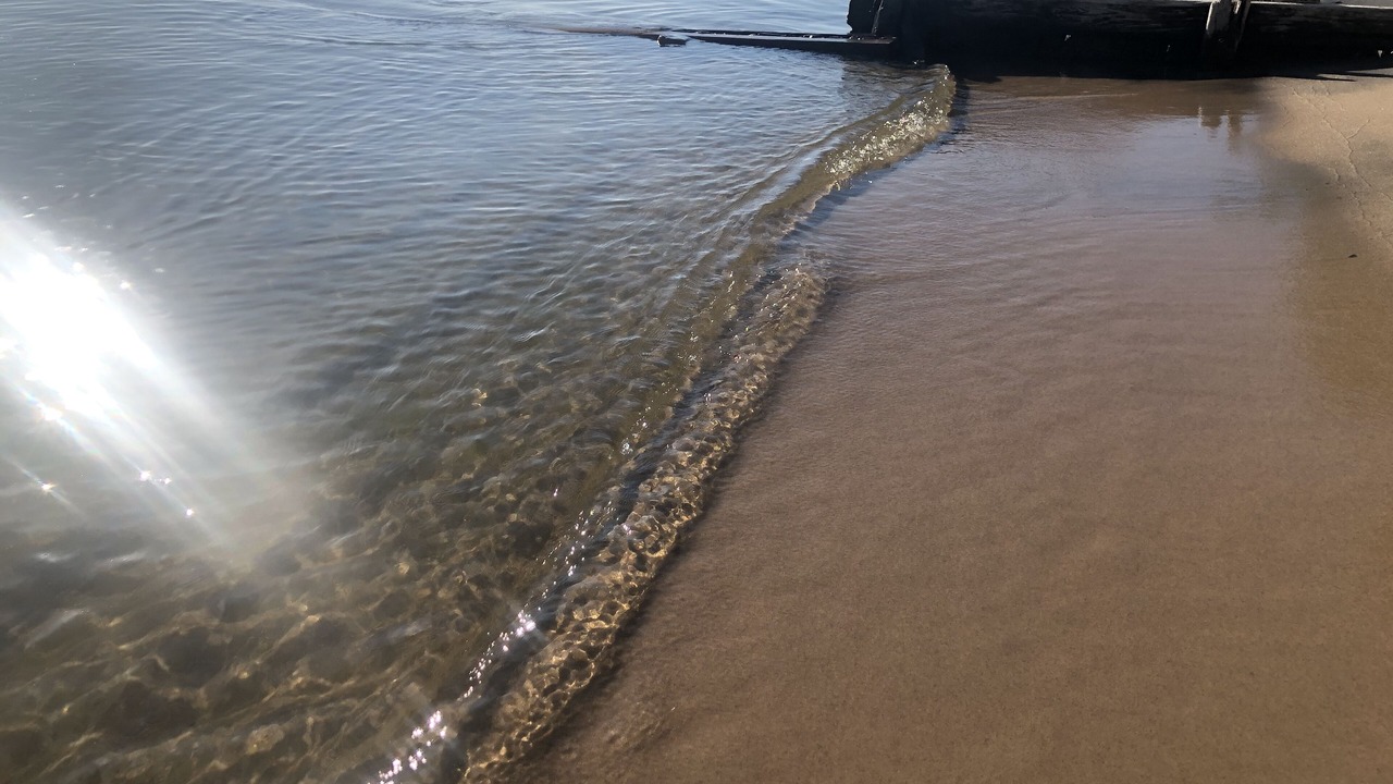 Photo of Others in Muskegon