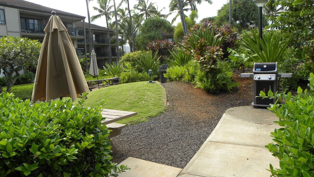 Photo of Others in Kapaa