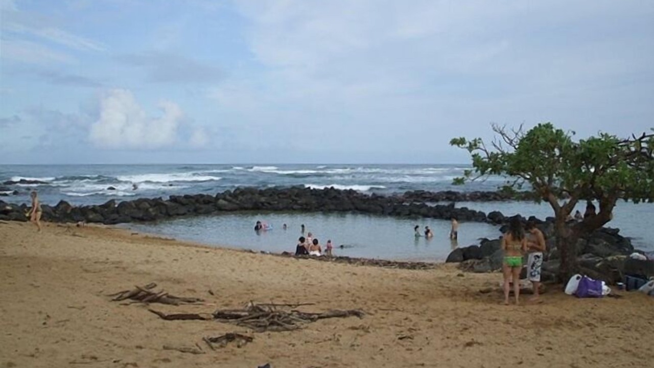 Photo of Others in Kapaa