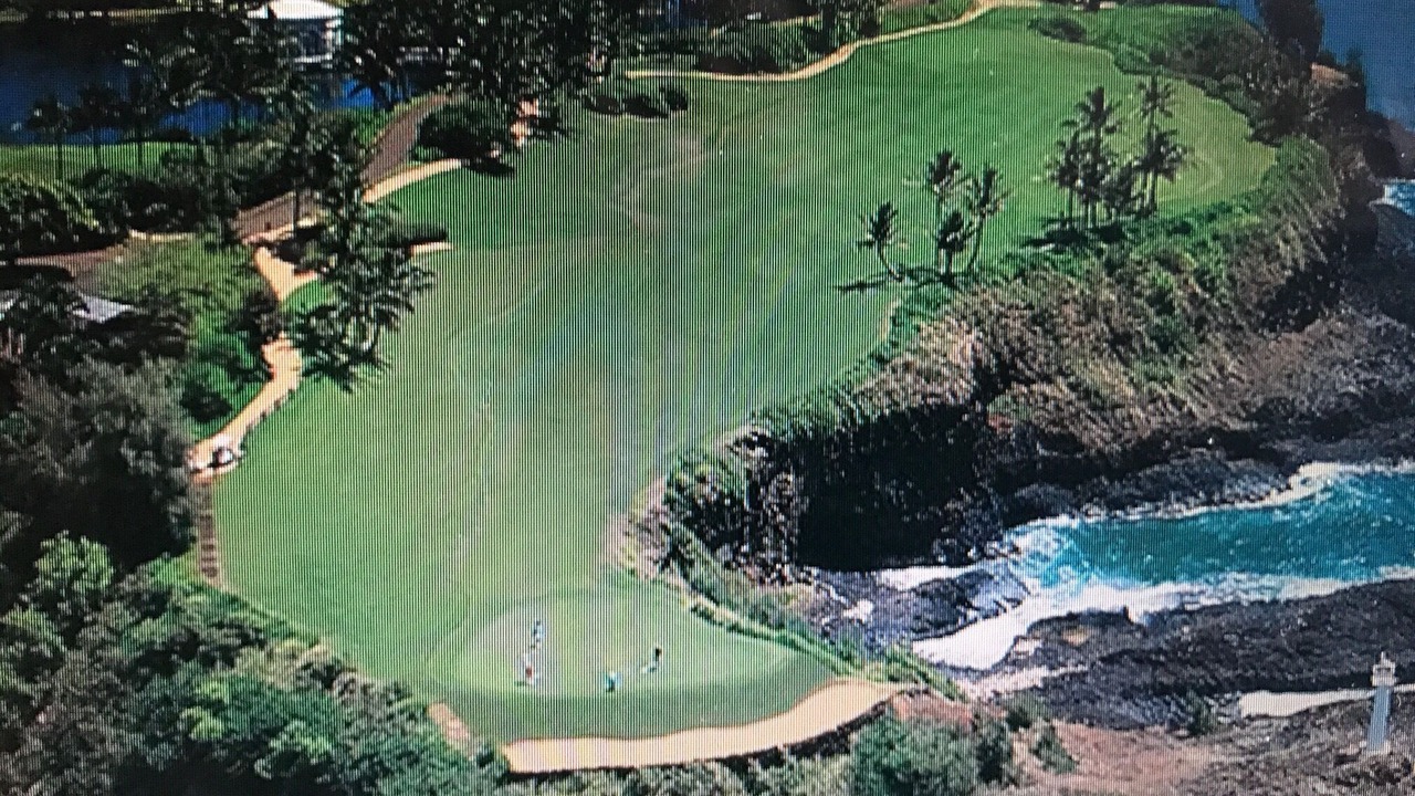Photo of Others in Lihue
